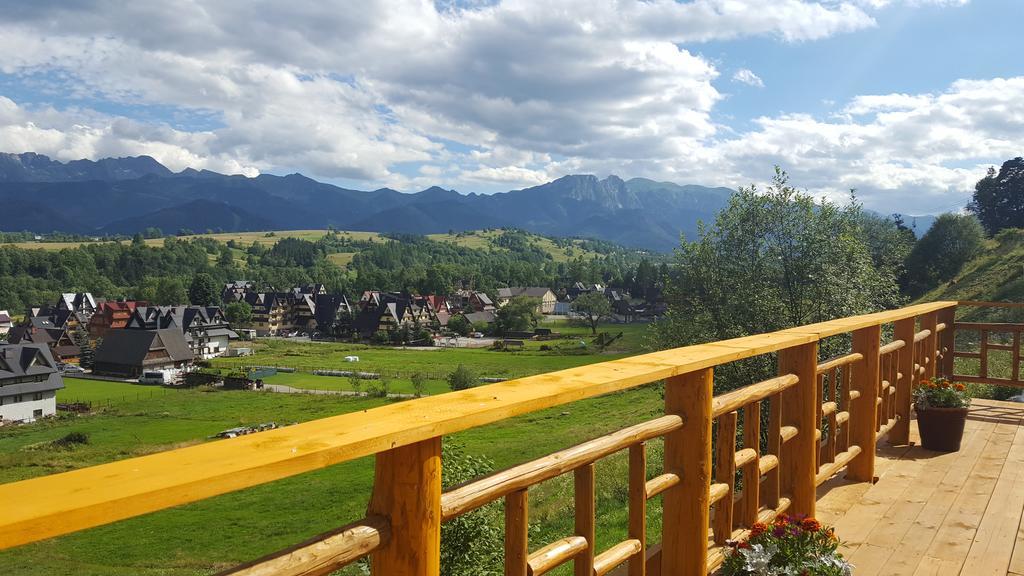 Willa Pod Zielonym Wierchem Zakopane Exteriér fotografie