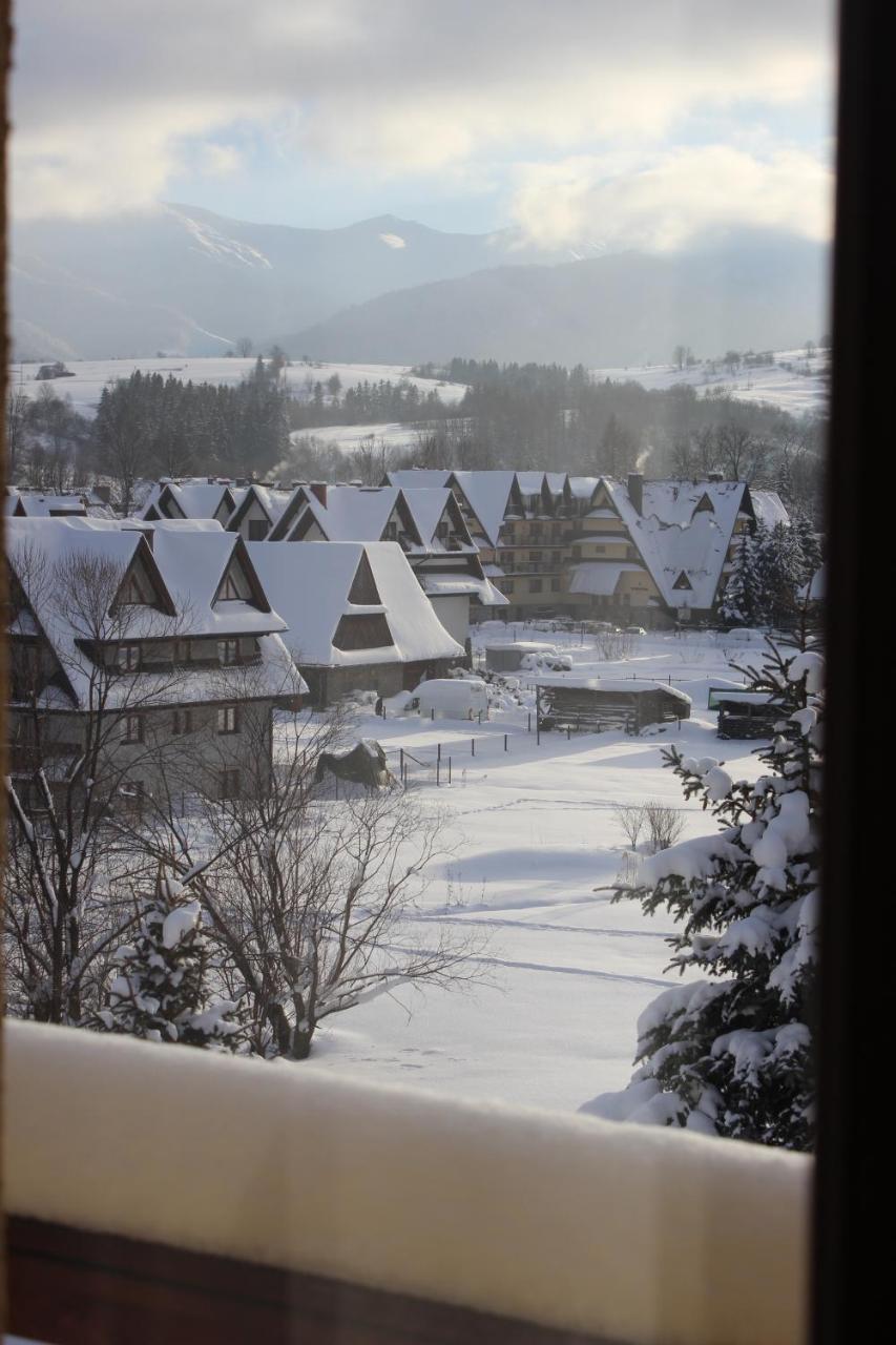 Willa Pod Zielonym Wierchem Zakopane Exteriér fotografie