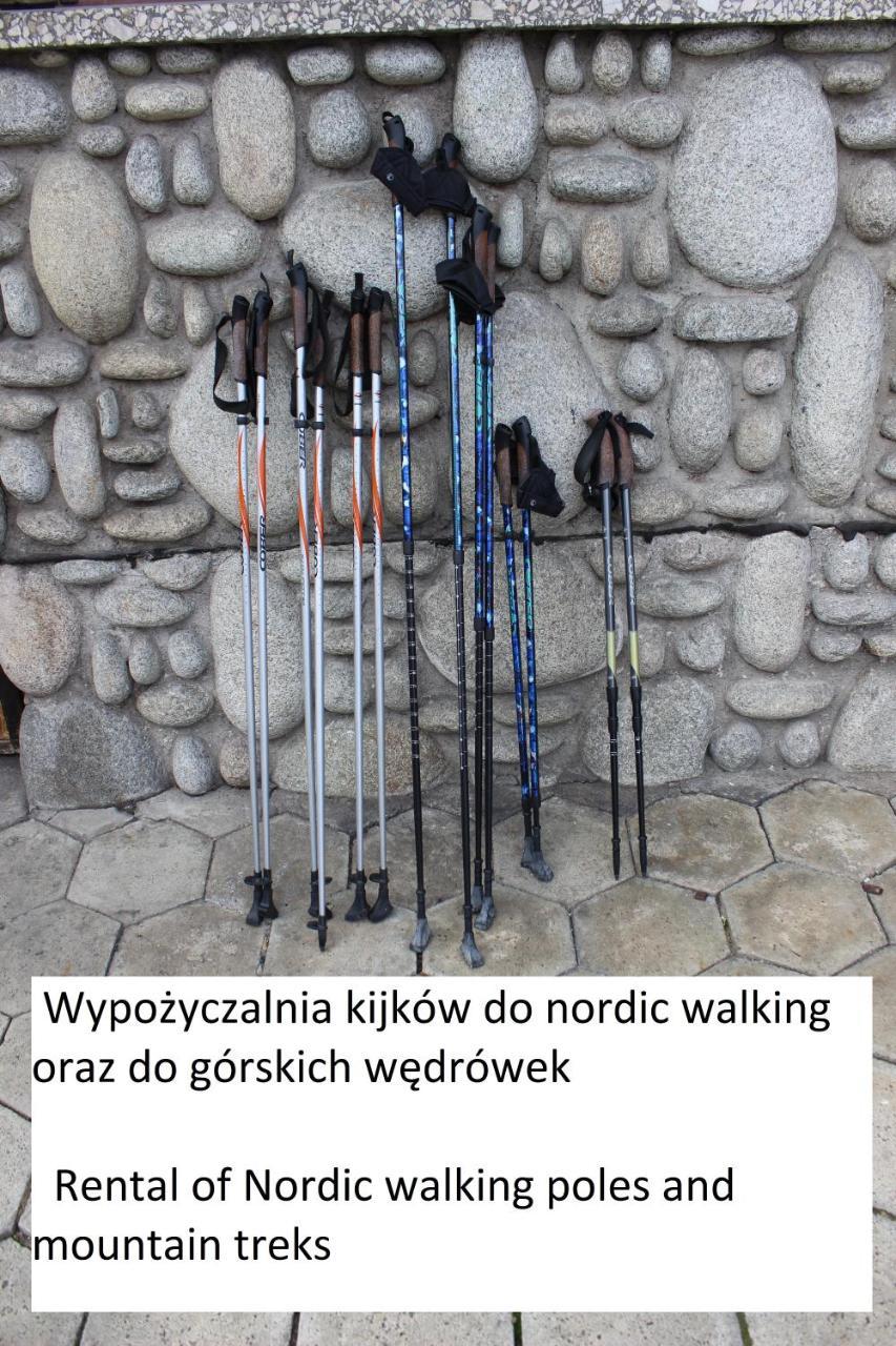 Willa Pod Zielonym Wierchem Zakopane Exteriér fotografie