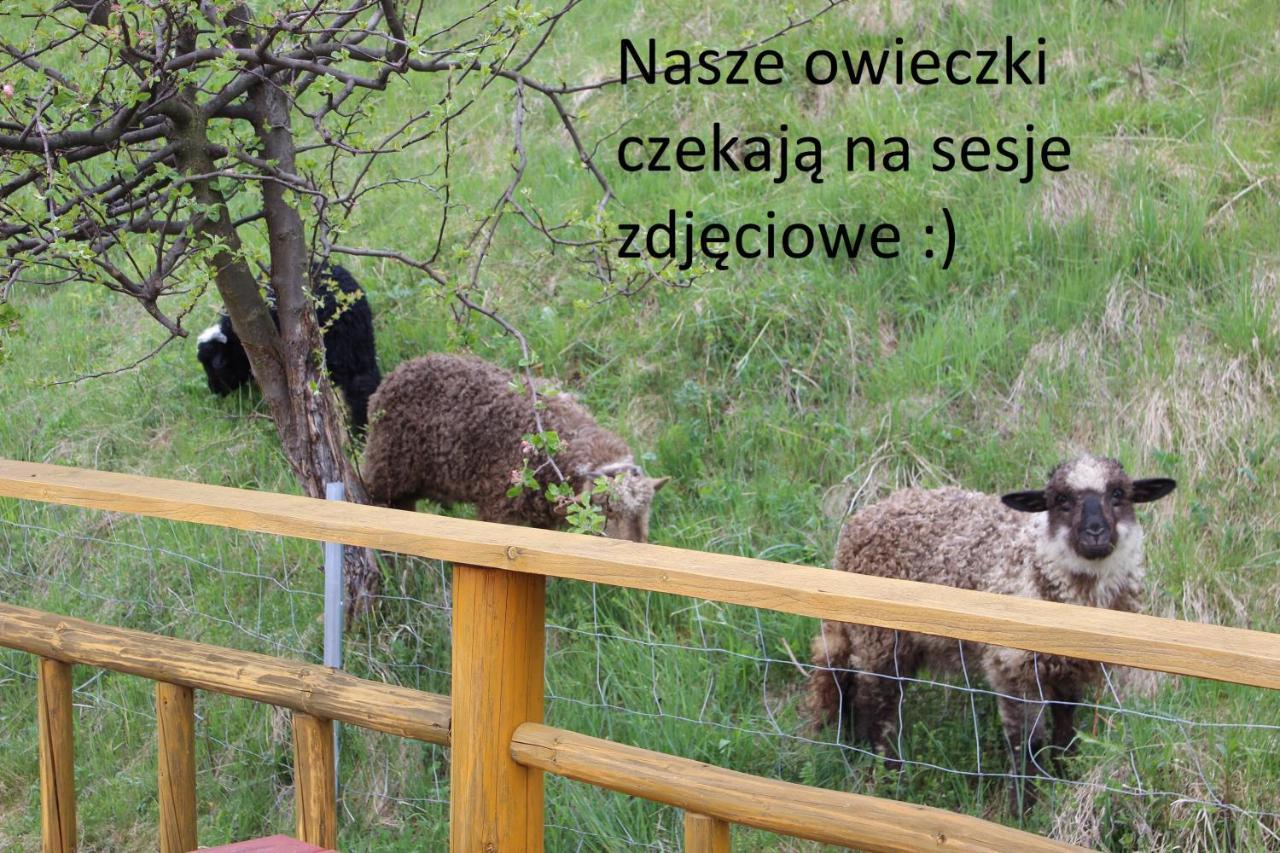 Willa Pod Zielonym Wierchem Zakopane Exteriér fotografie