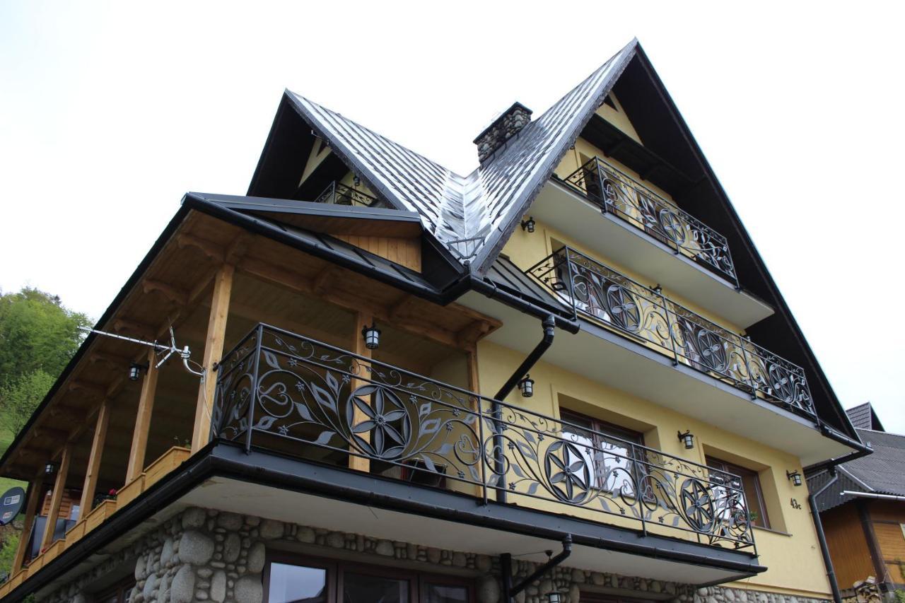 Willa Pod Zielonym Wierchem Zakopane Exteriér fotografie